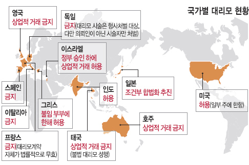 [음지서 번성 중인 대리모 시술 (중)] 인도 ‘원스톱 대리모 시설’… 금지국 의뢰인 ‘합법’ 美·인도로 기사의 사진