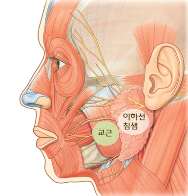 ÀÛ°í °¼¸§ÇÑ ¾ó±¼ ¸¸µé±â, ¡®Ä§»ùºñ´ëÁõ¡¯ È®ÀÎ ±â»çÀÇ »çÁø