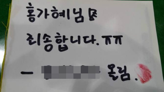 “홍가혜 씨 죄송합니다”… 비방 댓글 네티즌들 잇단 사과 기사의 사진
