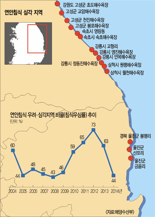 [기획] 깎여 나가는 해변… 동해안 15곳 심각 기사의 사진