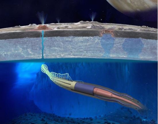 2020년 장어·오징어 로봇이 '외계 바다' 생명체 탐사 나선다 기사의 사진