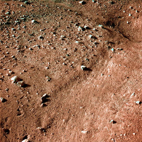 위성 화성 화성의 위성