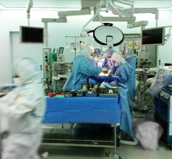 분당서울대병원 메르스 감염 위험 간질환자 간이식수술 성공 기사의 사진