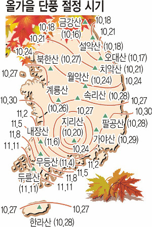 설악산 25일 첫 단풍 다음달 18일쯤 절정 기사의 사진