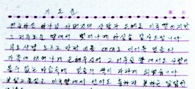 [단독 인터뷰] 탈북 김모 할머니 “북한서 가슴에 품은 하나님 남한 가서 열매 맺는 게 소망” 기사의 사진