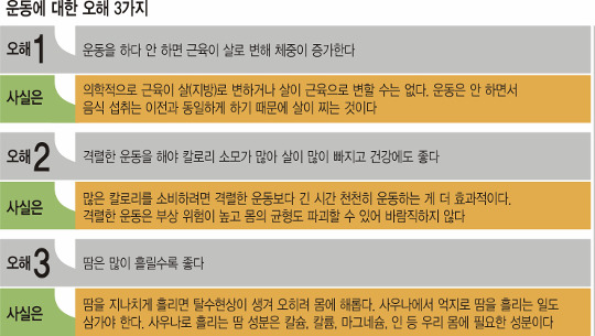 [단독-비만 한국인 위한 지침]  “매일 밥 한 공기 덜 먹고 1시간 이상 걸어라” 기사의 사진