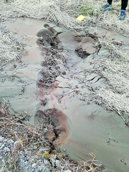 포항 지진 진앙지 인근 땅이 늪처럼 변하는 액상화 현상 국내 첫 발견 기사의 사진