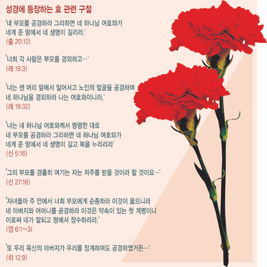 [크리스천 뷰] 가족 틈새로 패륜범죄 급증… ‘성경적 孝’ 전파 절실 기사의 사진