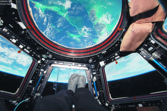 [책과 길] 우주생활 에세이 ‘인듀어런스’ 지구 밖에서 보낸 그리움의 시간 기사의 사진