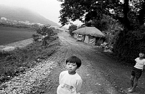 [׸ ִ ħ] 븶(Nomad)  