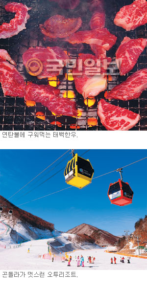 [޸-¹] 12231  ź ѿ쵵    
