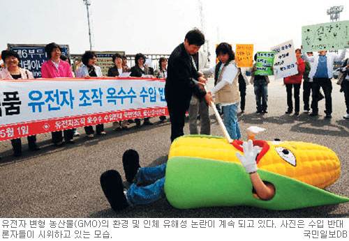[생활 속 과학이야기] 유전자 조작 GMO 농산물 검증없는 수입 승인 문제  