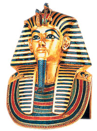 ī ź  Ʈ, 217 DNA˻ ǥ  
