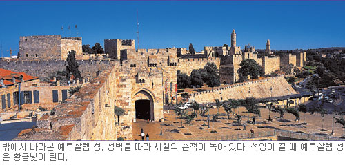 [̾߱] 췽   