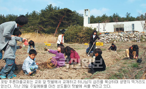 [Monthly 미션-땅] 땅에서 진리를 캐는 포항 푸른마을교회 성도들  