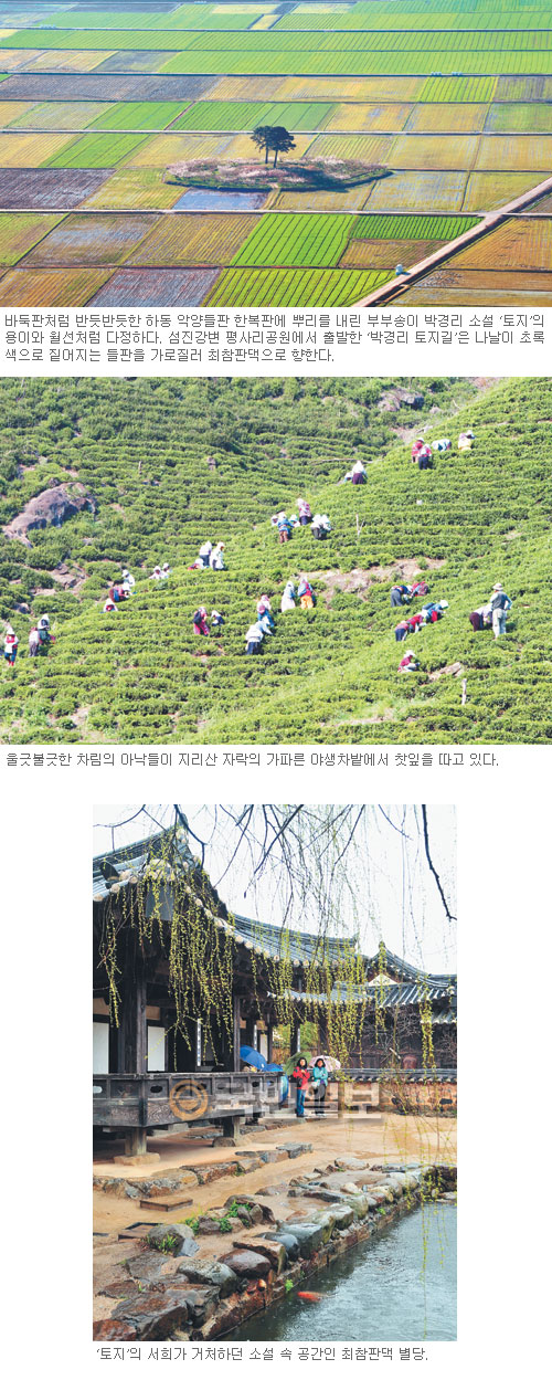 ƾ ٲ غ ϵ 縮 ڰ渮 桯  