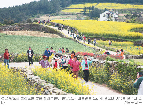 ϵ  45 û굵  ѷ   