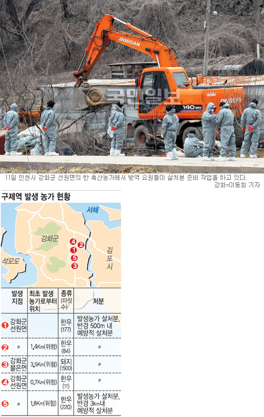 구제역 빠른 확산… 사상 첫 ‘경계’ 경보  
