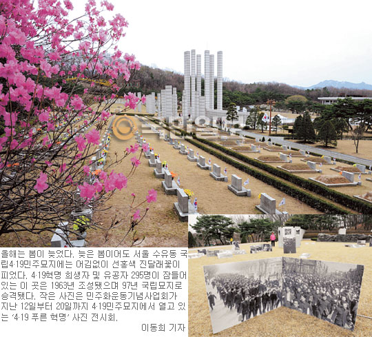 [419 50,  ] ̳䡤 ʿ  ڿ  