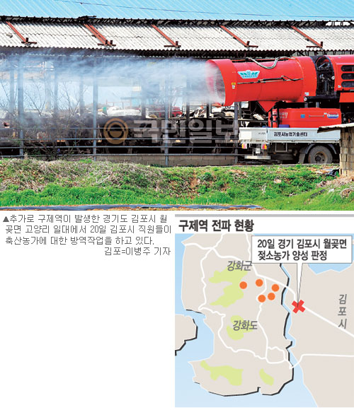 구제역 바다 건너 김포로… 내륙 확산 비상  