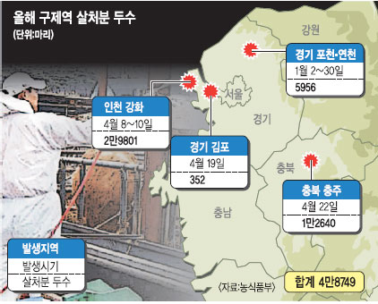 충주서도 구제역 전국 확산 비상… 정부, 위기경보 최상위 ‘심각’으로 격상  