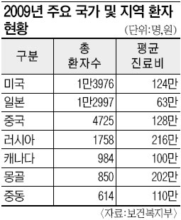 2009년 외국인 환자 6만명 총 547억원 썼다… ‘의료 한류’에 한발짝 더  