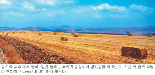 [성지이야기] 성지의 들녘  