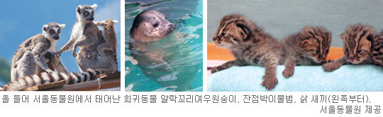 ﵿ ˶̡ѱ롦 츮 ߾䡱  