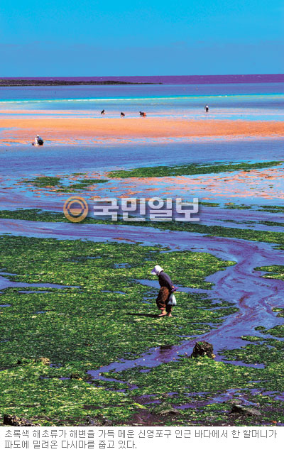 ٴ Ҹ  ١  ޸ ٴ  