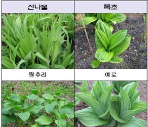 곪  , Ư ϼ䡱  