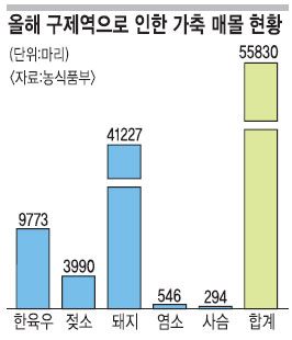  ó  Ʈ츶 غ ´  