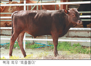 ִ ڼ  켭 ä롤 ü  2      