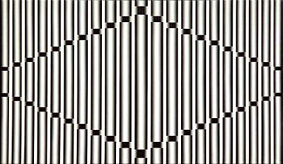 [ȭ ]  ̹  ȿ ڸ ̽ 20ֱ ߸  