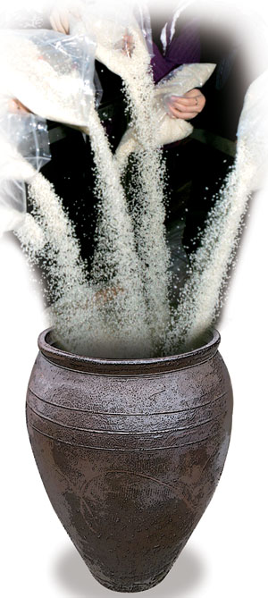     ̸   ˴ϴ  