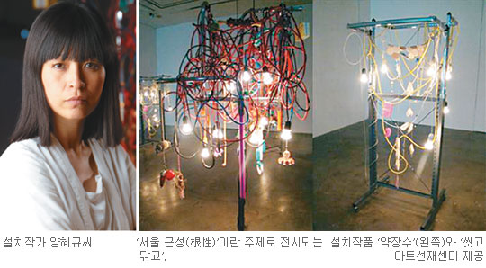 2009 Ͻ 񿣳  絶 ġ۰ Ծ,  °    