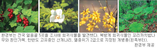  ȭõ   ͽĹ 뷮 ߰  