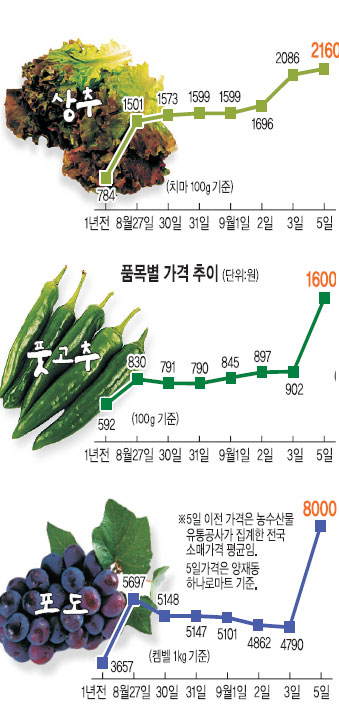 ñġ 1 Ѵ޻ 4000 õ ä ¼  