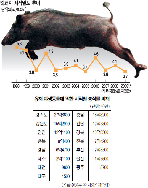 ü ִµ ۹  츮 ſ̶?  ϴ  