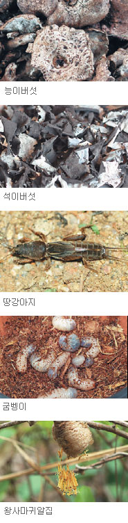 ڻ 7044 ΰ 뼺  