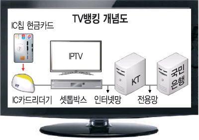 TV   Ĺŷ Ȱ¦  