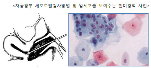 [ ̷ غ(6)-ڱðξ]    ̴?  