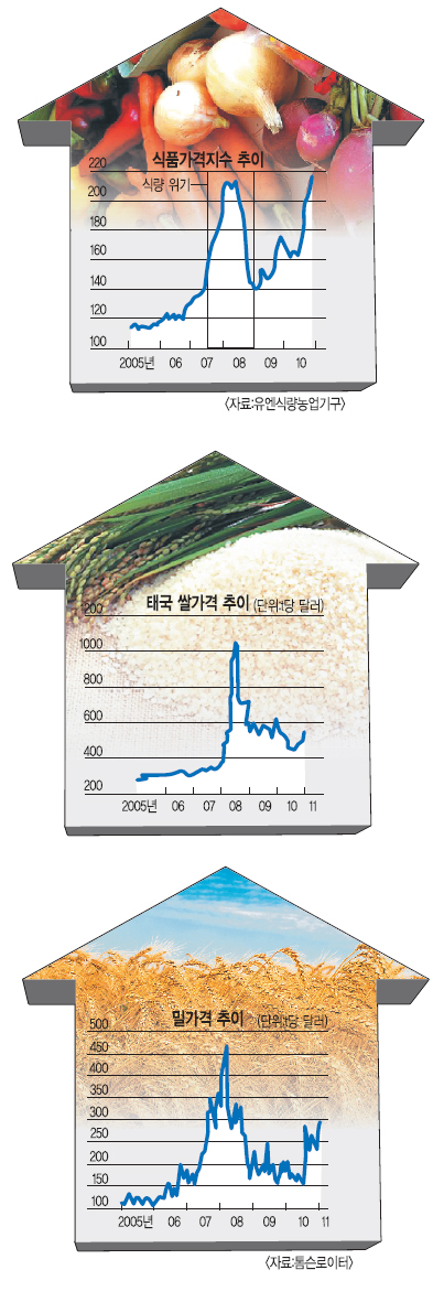 전세계 식품값 자고나면 올라… 2차 식량위기 경보음  