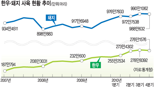 [구제역·AI 축산농 패닉] 사육두수 줄여 전염병 예방… 가격 급등락 방지 효과도  