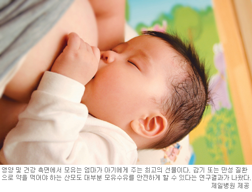 약 때문에 모유 무작정 끊지 마세요  