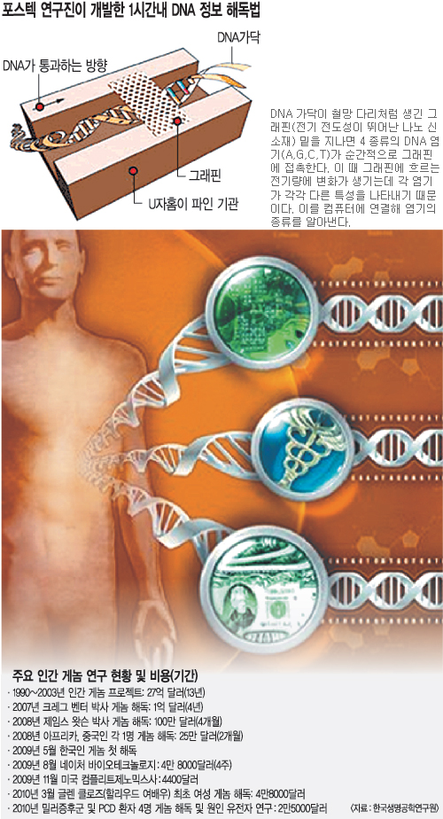 ʰӡ DNA ص Ӽ ߡ κ  Ǿô롯  