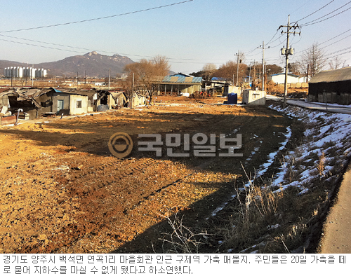 [현장 르포] 가축 매몰지 수질오염 공포… “평생 먹던 지하수도 못 마셔요”  