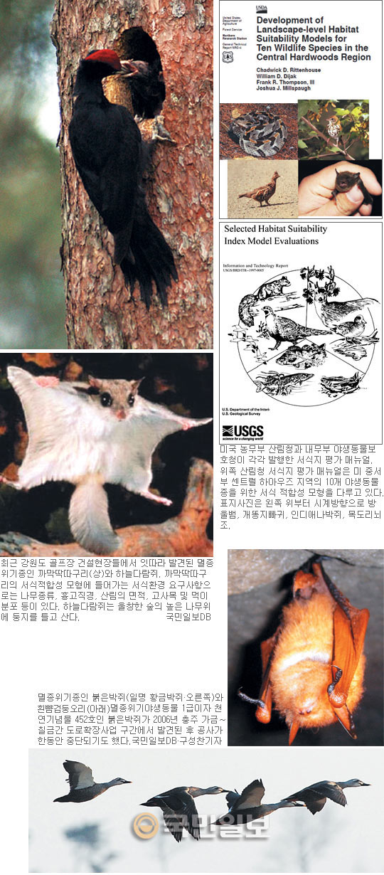 “법정보호종 보존” vs “개발 우선” 사전 조율한다  
