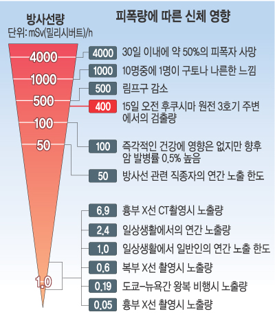 [Ϻ ] ,   ġ ı  , 1000mSv    