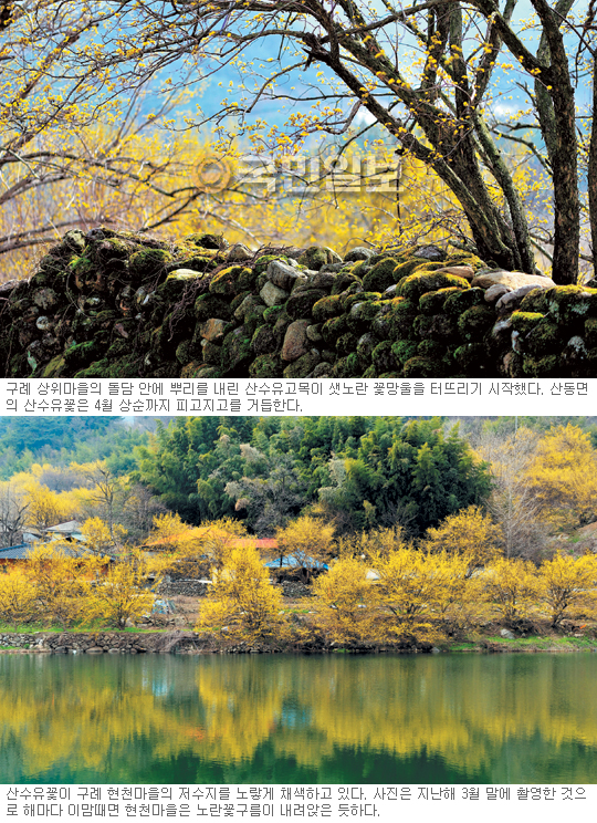   Ǯ  ɱ Ȱ¦  ʱ 굿    