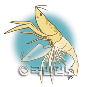 [겨자씨] 바다가재의 껍질 벗기  